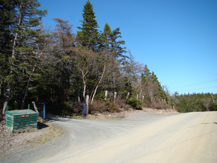 Lot 4 (Front View/Paved driveway) 